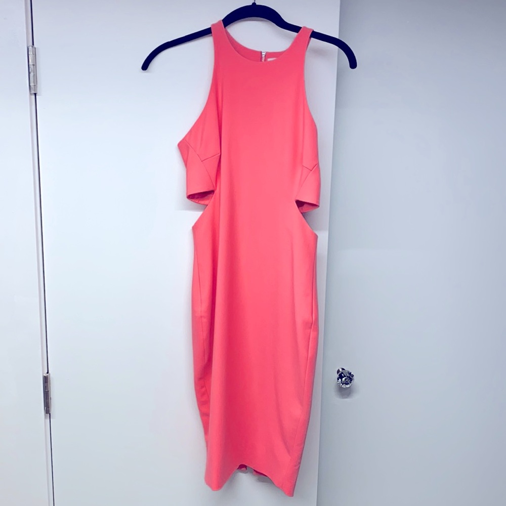 Elizabeth and James bodycon cut out dress